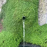 Quinta Da Vinha Do Souto
