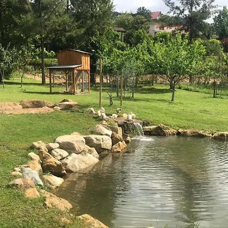 בית נופש Quinta Da Vinha Do Souto