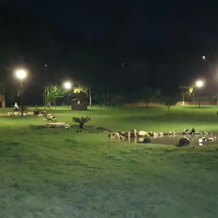 Quinta Da Vinha Do Souto *