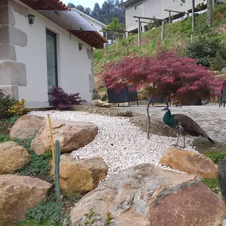 Quinta Da Vinha Do Souto * ארוקה