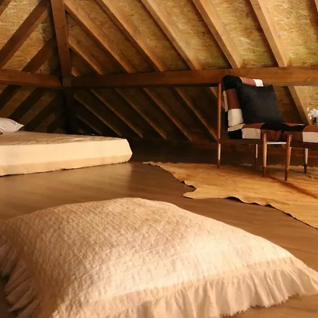 Quinta Da Vinha Do Souto Holiday home Arouca
