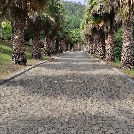 Quinta Da Vinha Do Souto Dom wakacyjny Arouca