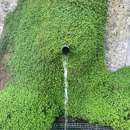 Quinta Da Vinha Do Souto