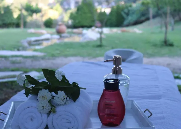 Quinta Da Vinha Do Souto Arouca