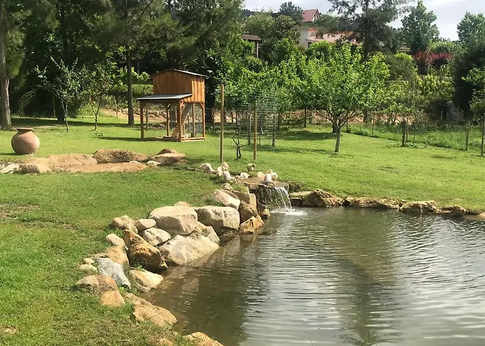 Ferienhaus Quinta Da Vinha Do Souto