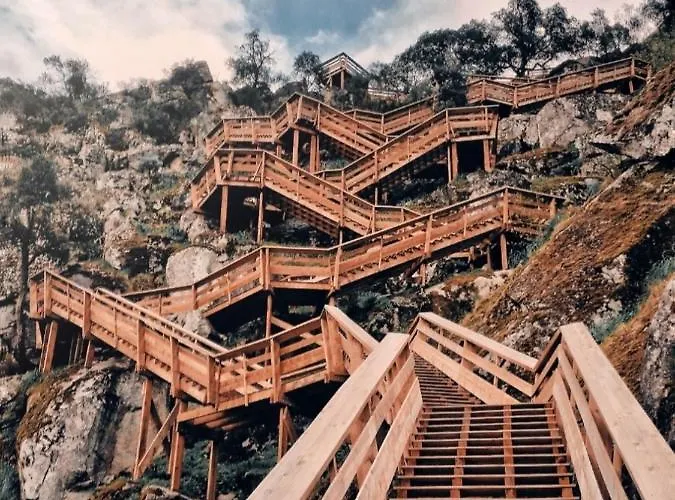 Quinta Da Vinha Do Souto