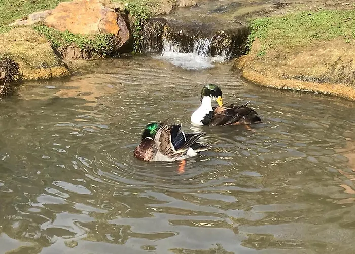 Quinta Da Vinha Do Souto