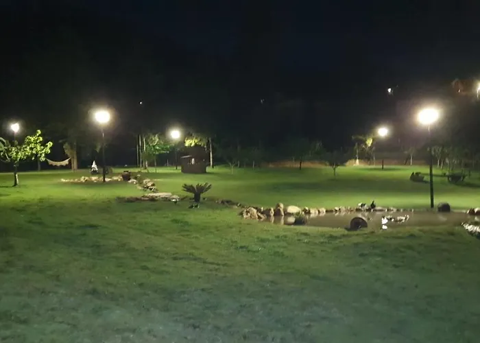 Quinta Da Vinha Do Souto *