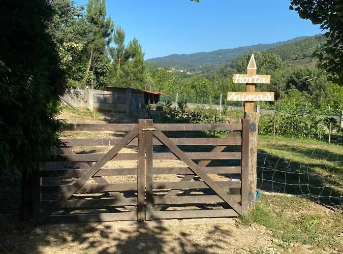 Quinta Da Vinha Do Souto * ארוקה