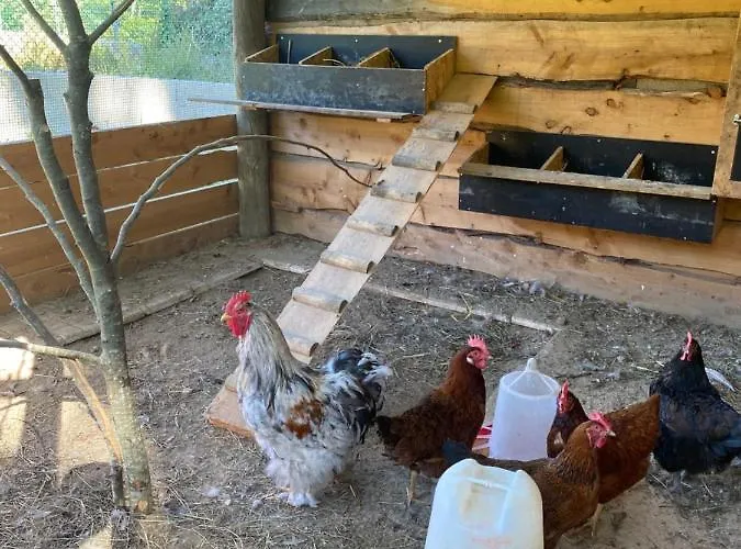 Quinta Da Vinha Do Souto ארוקה