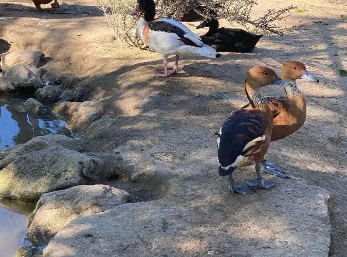 בית נופש Quinta Da Vinha Do Souto *