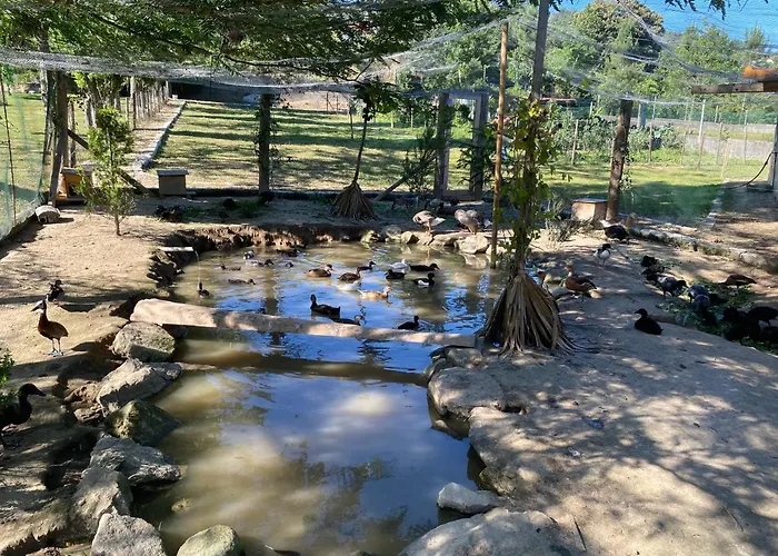 Quinta Da Vinha Do Souto Casa vacanze *