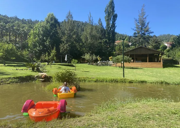 Quinta Da Vinha Do Souto *