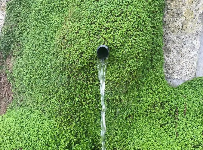 Quinta Da Vinha Do Souto