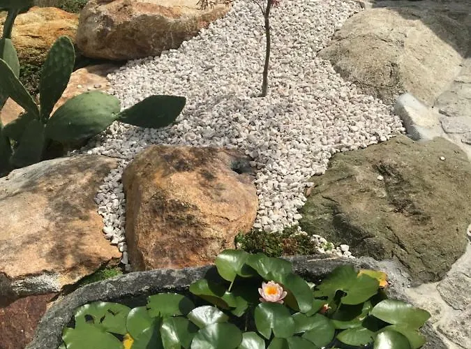 Quinta Da Vinha Do Souto *