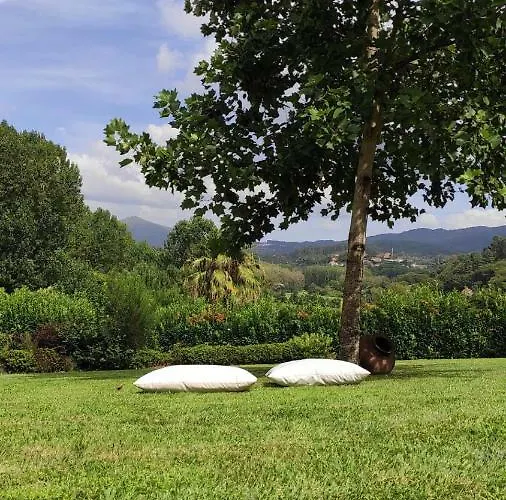 Quinta Da Vinha Do Souto * ארוקה